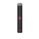 ENVI DISPOSABLE 6% 450 PUFFS - Image 6