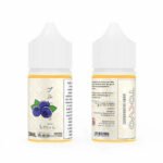 TOKYO SALTNIC ICED BLUEBERRY 30ML